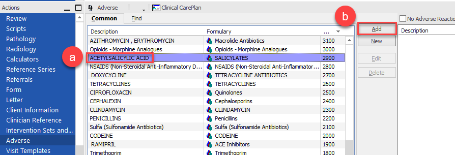 Adding_Allergies_or_Adverse_Reactions_2.png