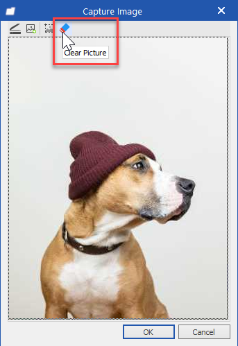ClientIDPhoto-ClearPhoto.png