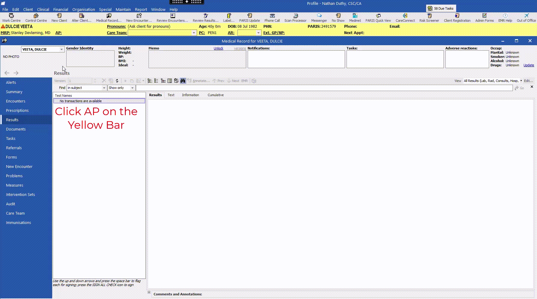 Client Info Panel (Yellow Bar) Profile EMR User Help